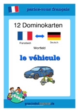 Domino-F Fahrzeug-vehicule.pdf